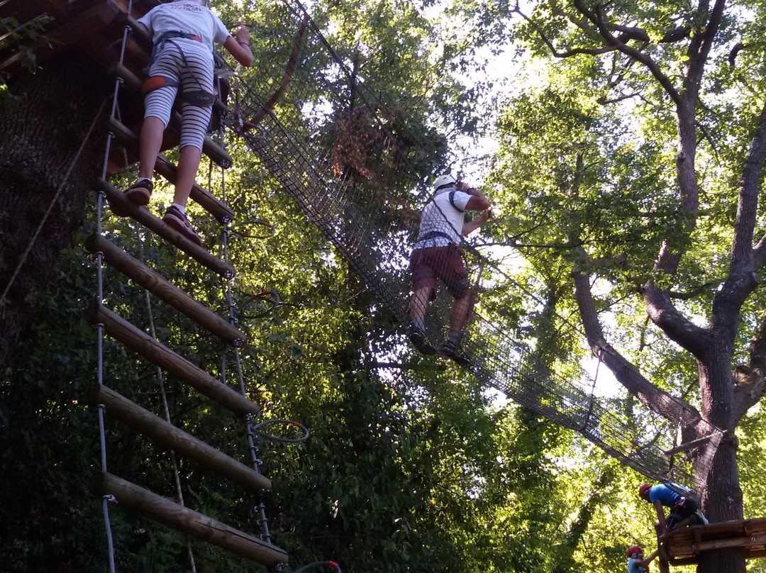 Quercus Park-里帕特兰索内必去景点