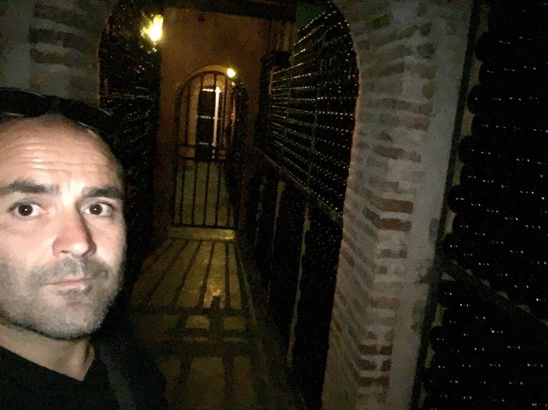 Bodega Calzadilla景点图片