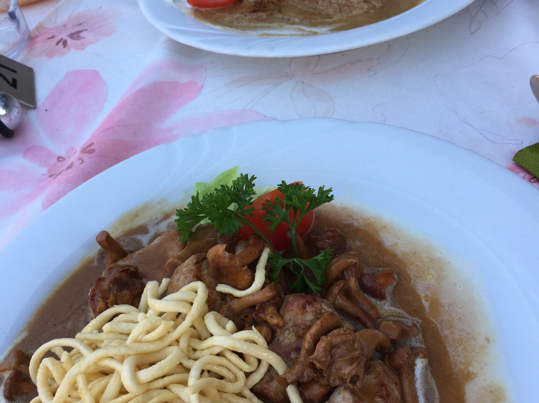 Seelbach酒店住宿-Gasthaus Schutterblick