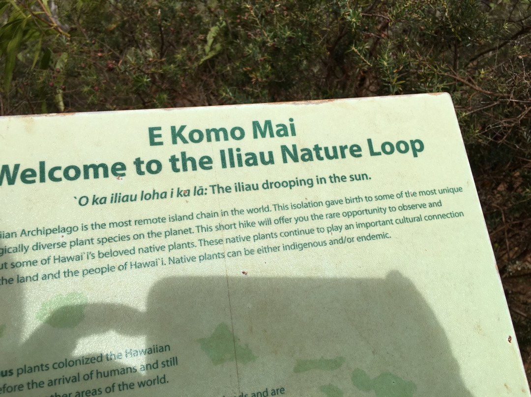 Iliau Nature Loop Trail-威美亚必去景点