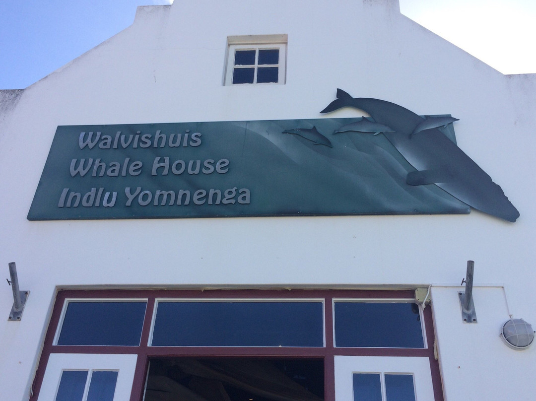 The Whale House Museum-赫曼努斯必去景点