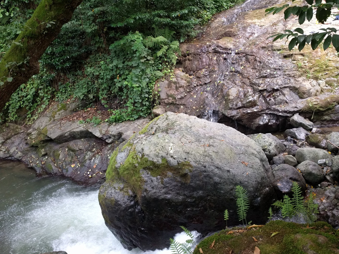 Tkhilnari Waterfall-巴统必去景点