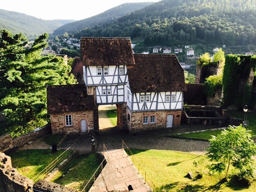 Hirschhorn (Neckar)旅游攻略图片