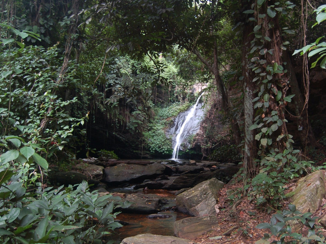 Cascade de Womé景点图片