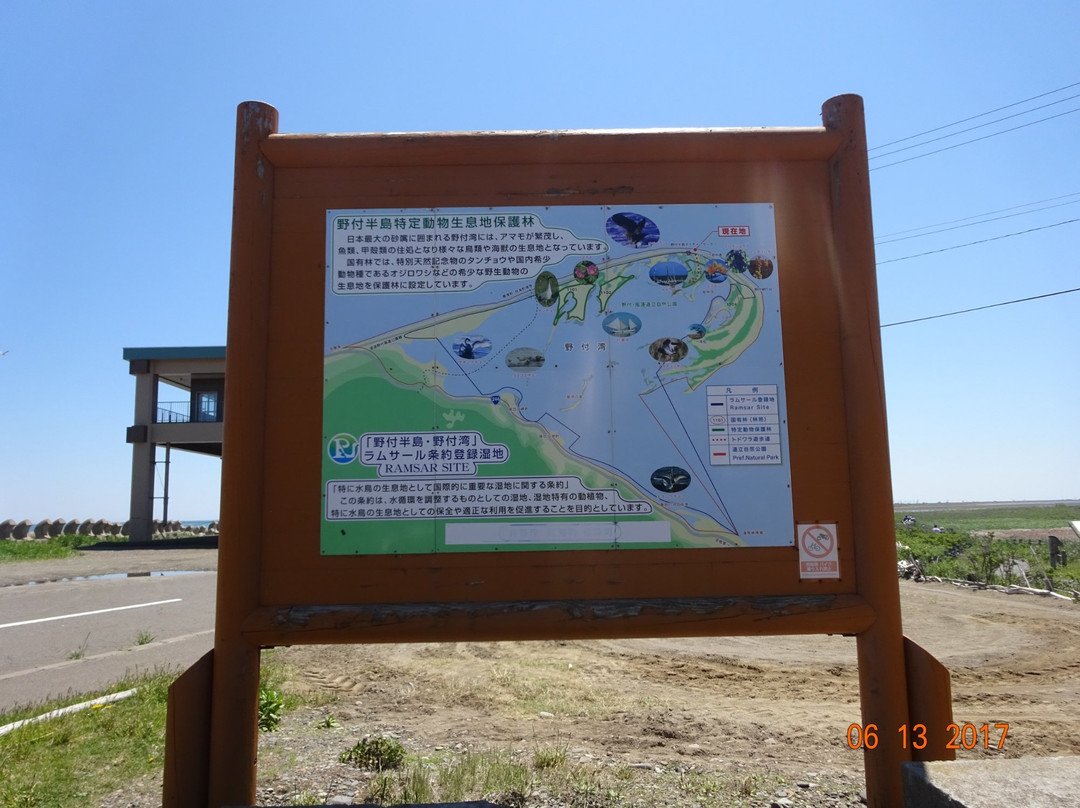 Notsuke Peninsula Natural Flower Garden-别海町必去景点