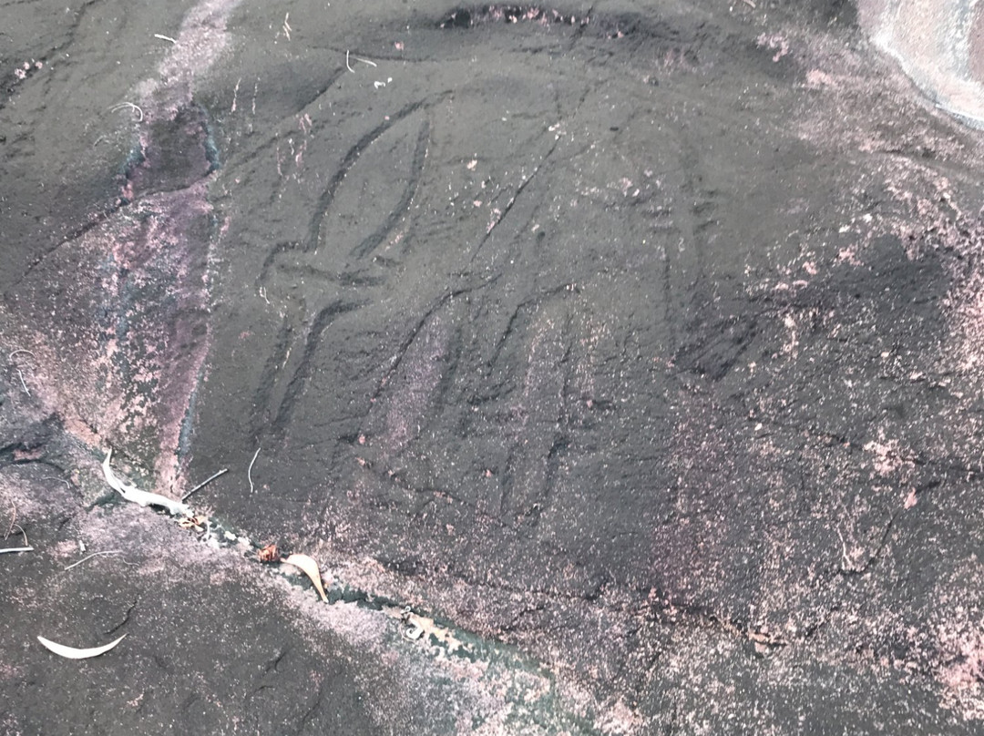 Pohnpaid Petroglyphs景点图片