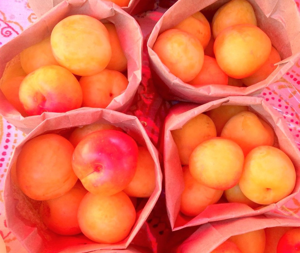 Salt Spring Tuesday Farmer's Market景点图片