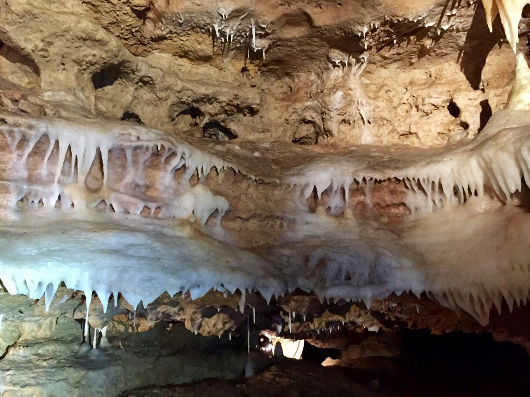 Grottes de la Norée景点图片