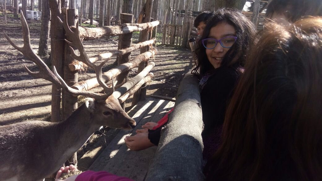 Arca del Pequen Granja Educativa Copequen-Copequen必去景点