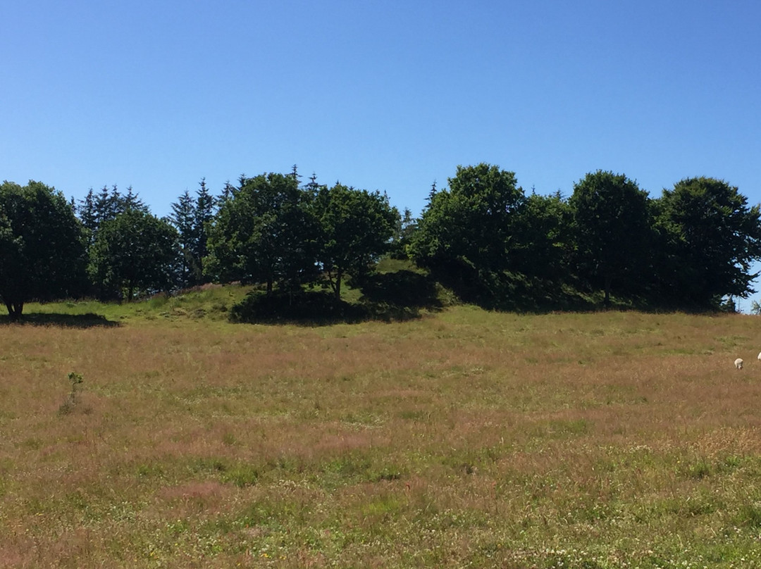 Mosbjerg Landskabs Og Landbrugsmuseum景点图片