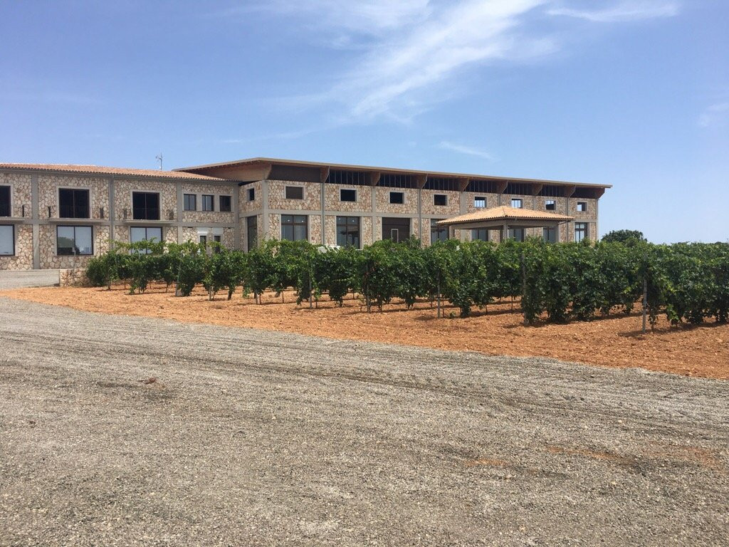 Bodegas Vi Rei