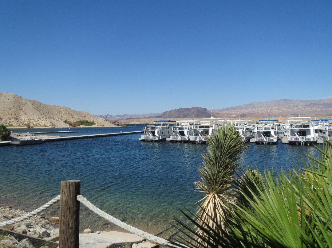 Cottonwood Cove Resort & Marina