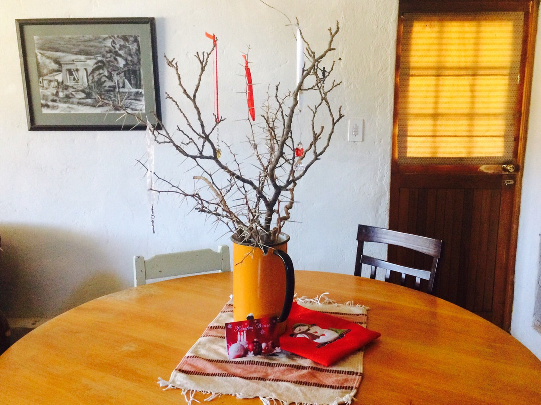 Nieu-Bethesda酒店住宿-Starry Nights Guesthouse