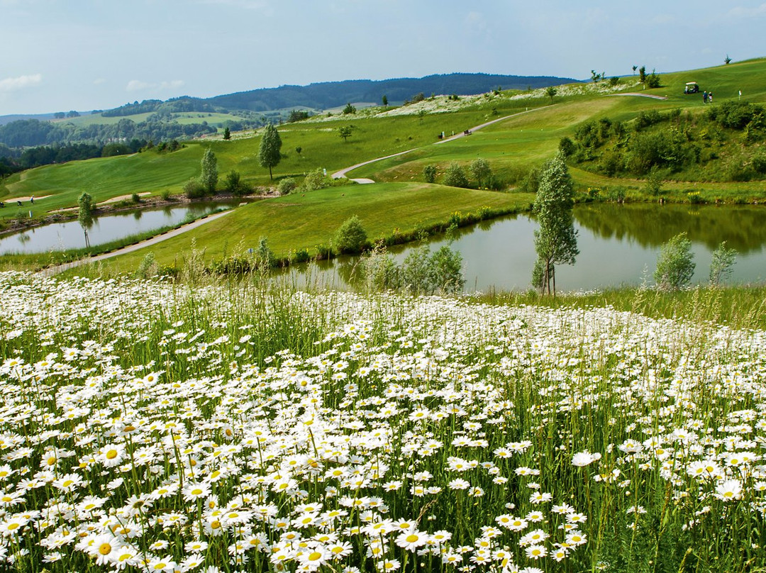 Bella Vista Golfpark-Bad Birnbach必去景点