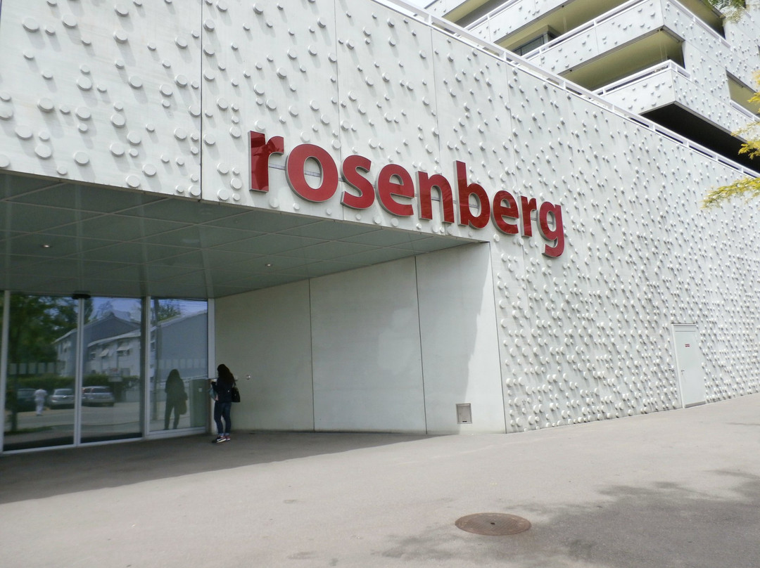 Einkaufszentrum Rosenberg-温特图尔必去景点
