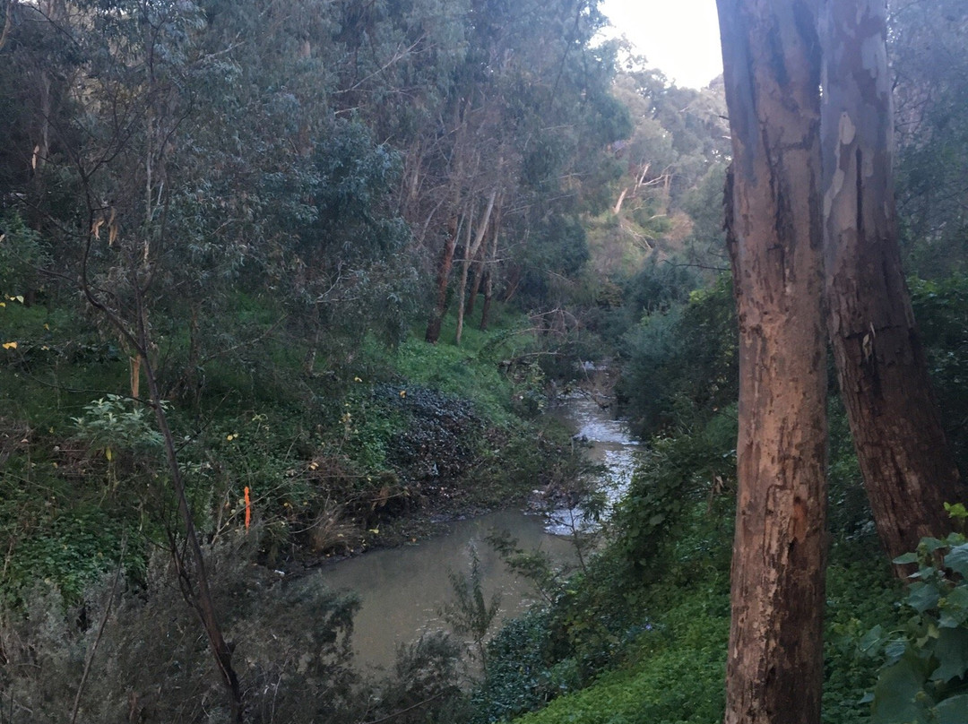 Poulter Avenue Reserve景点图片