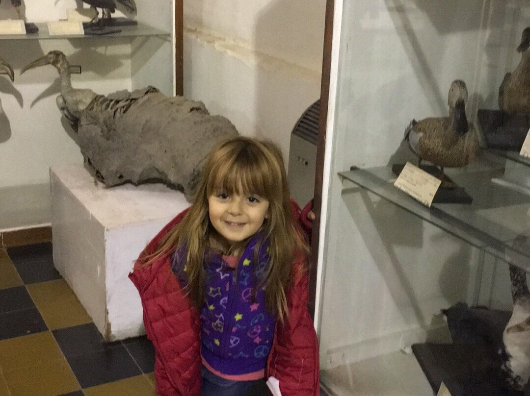 Museo de Ciencia Natural-圣拉斐尔必去景点