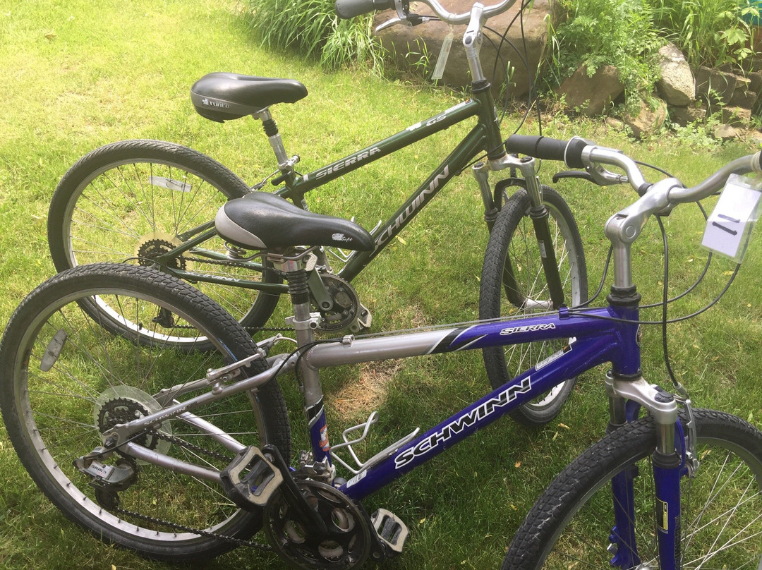 Pedal & Cup-日内瓦湖必去景点