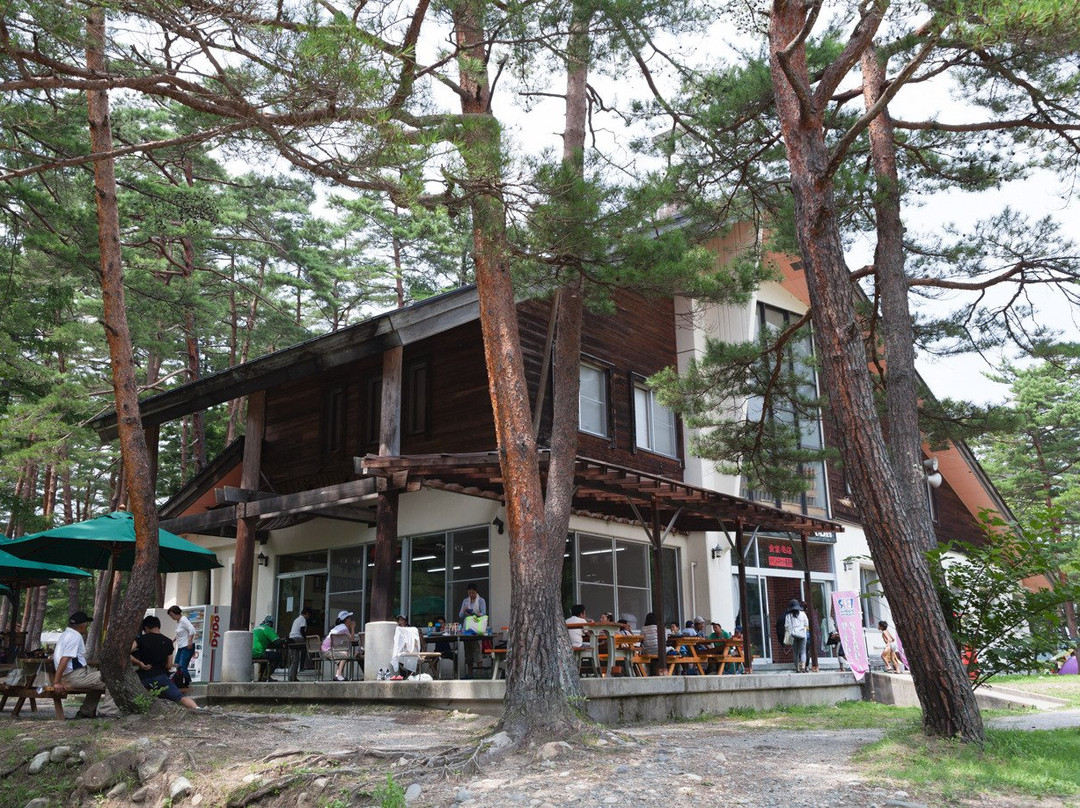 Hakuba Green Sports Forest景点图片
