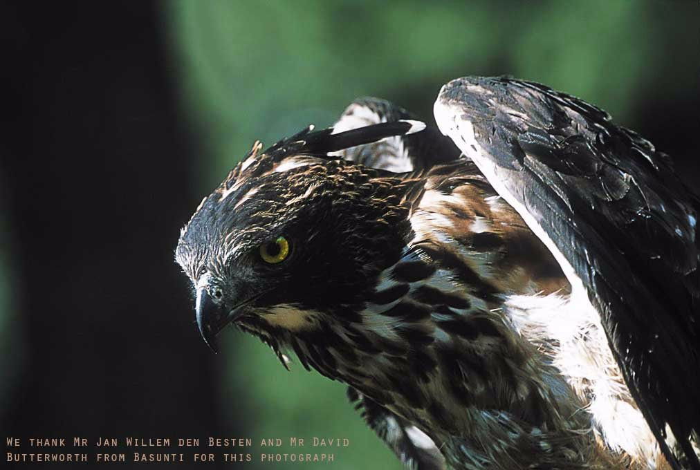 Punjab Duck Tours-阿姆利则必去景点