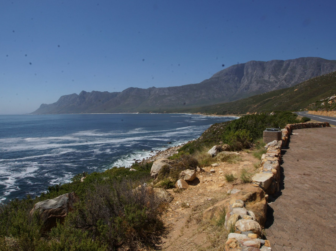 Cape Whale Coast景点图片