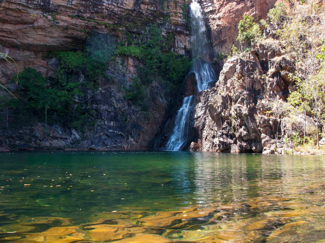 Sandy Creek-Litchfield National Park必去景点