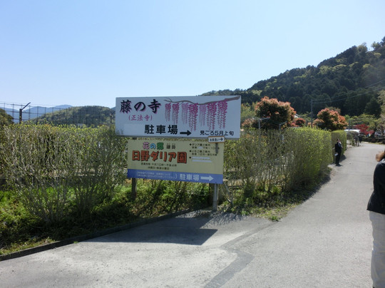 Hino Dahlia Garden-日野町必去景点