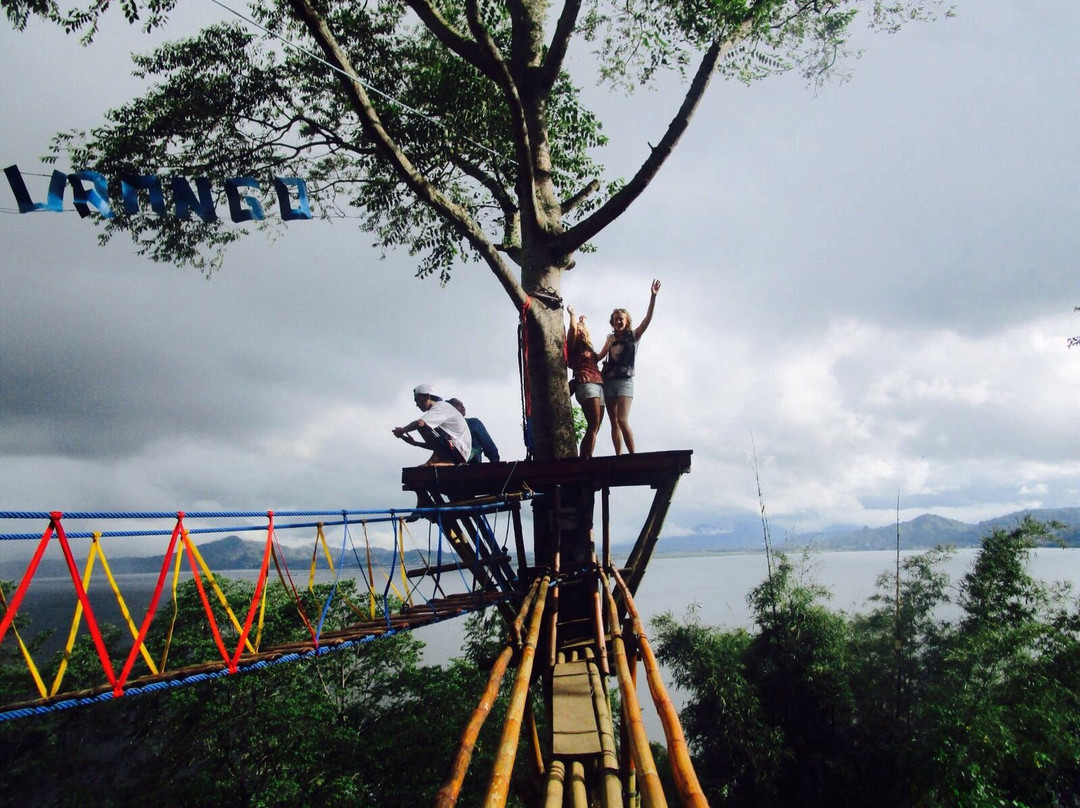 Urongo Tree House景点图片