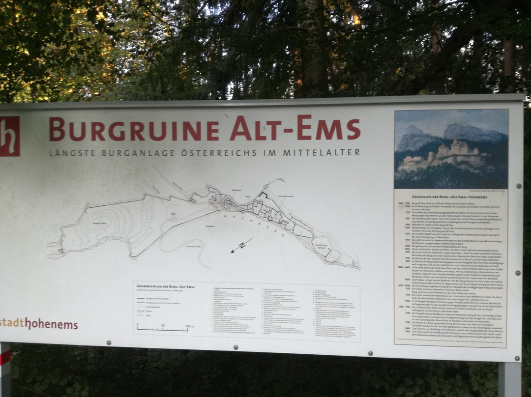 Burgruine Alt-Ems景点图片