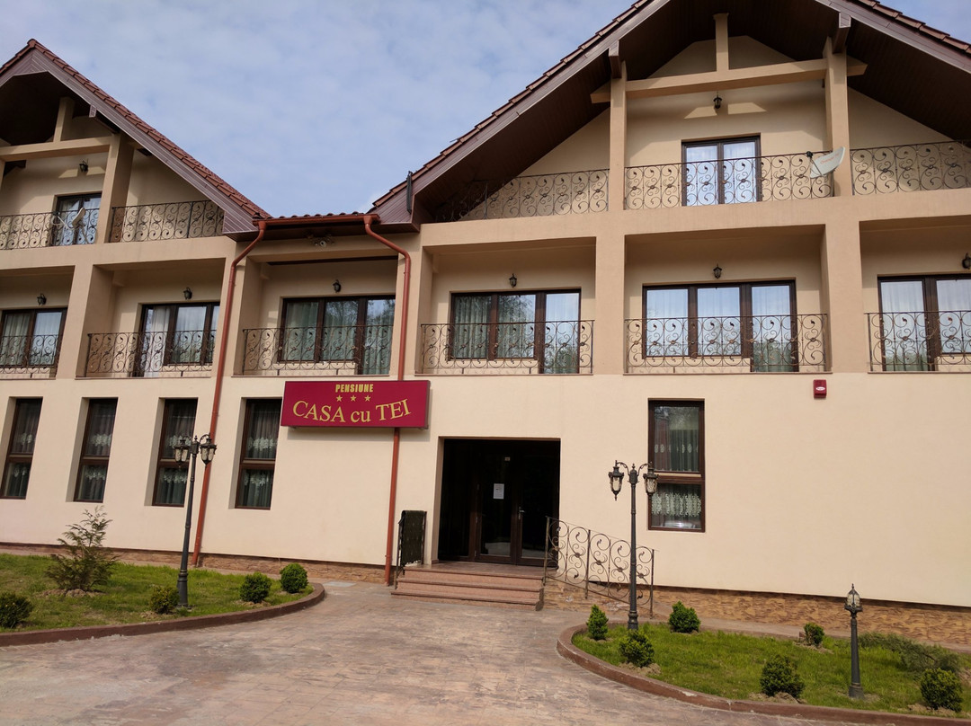 Casa cu Tei主图