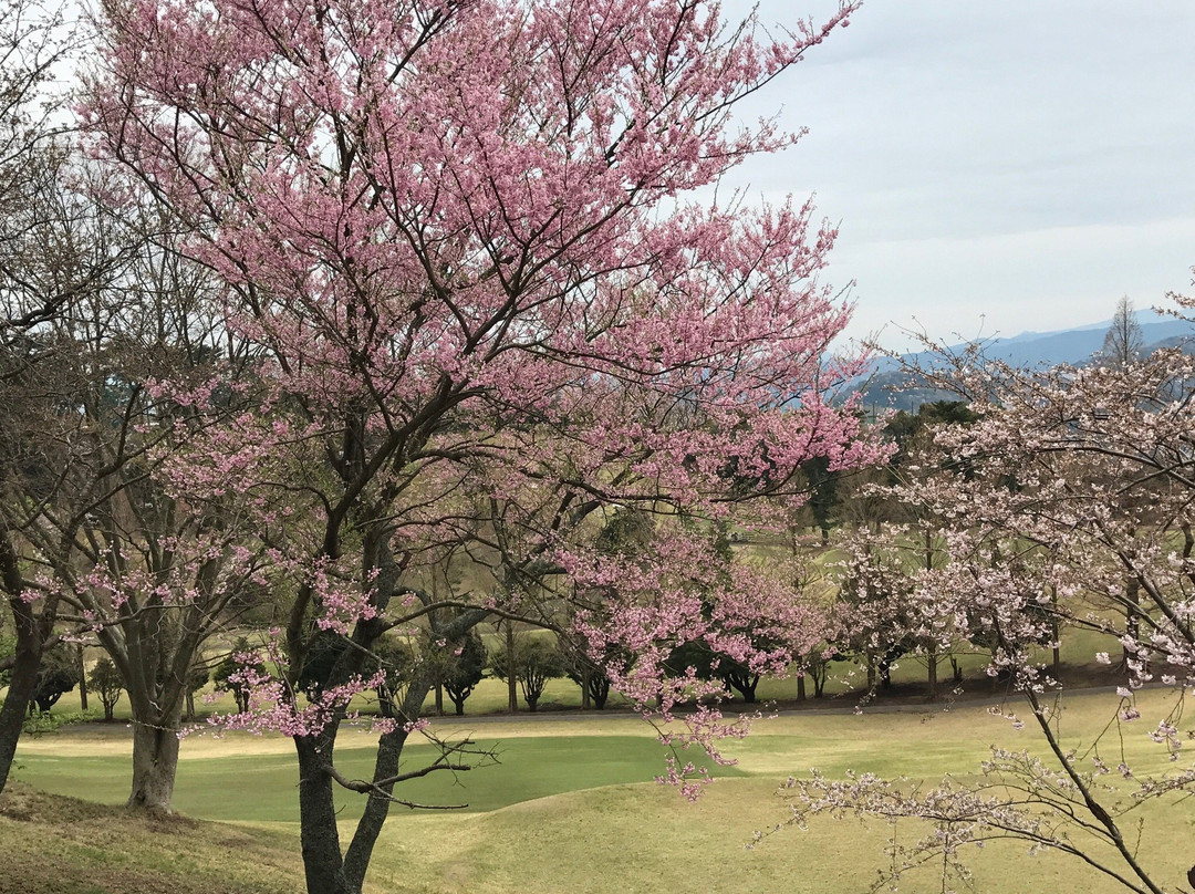 Atami Golf Club-热海市必去景点