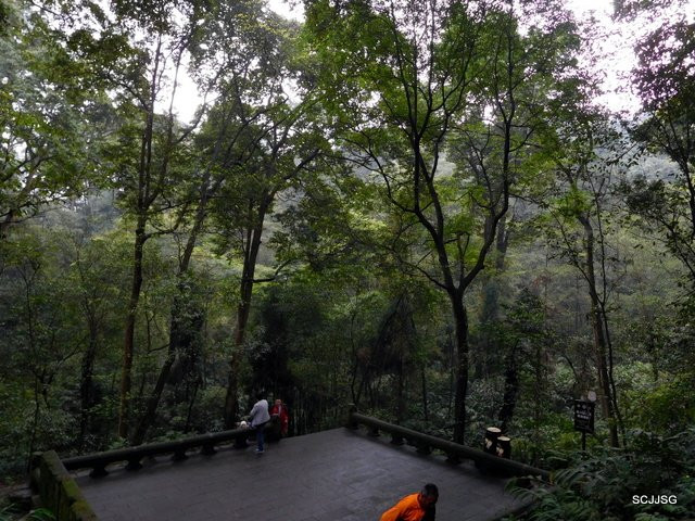 布金林-峨眉山市必去景点