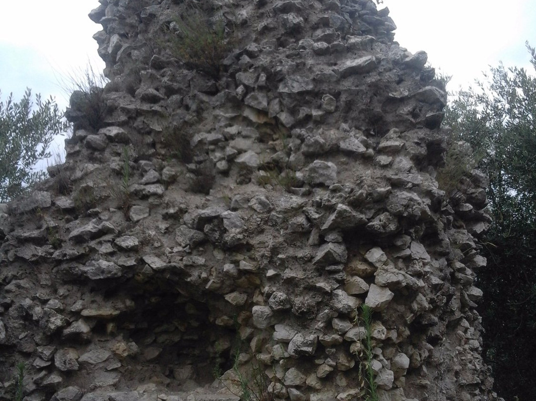 Necropoli Monumentale di Avella景点图片