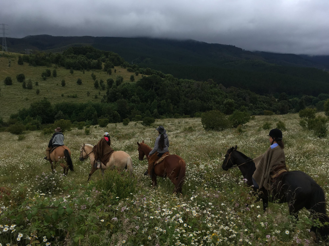 Equspatagonia-特木科必去景点