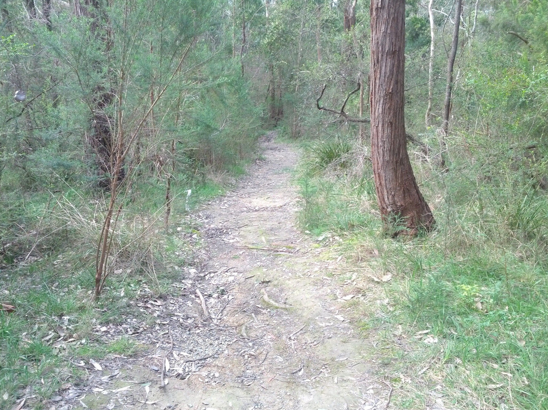 100 Acres Reserve景点图片
