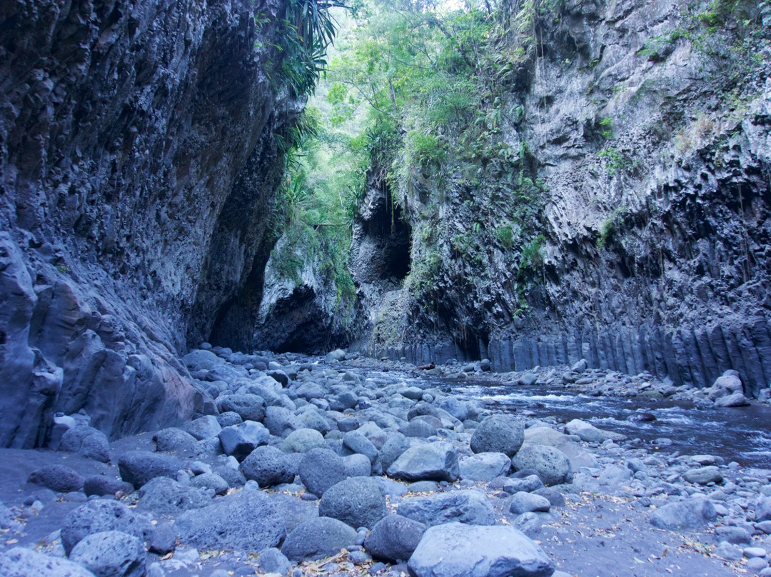 Les Gorges du Bras de la Plaine景点图片