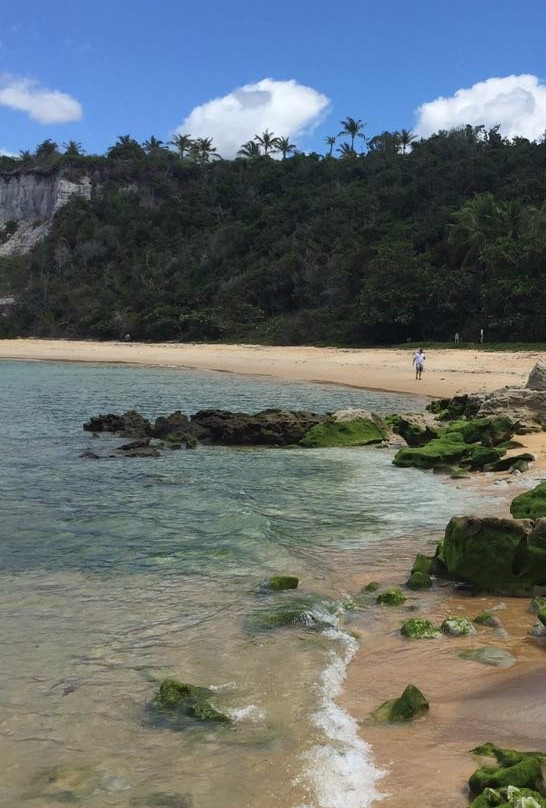 Cacau Tour-Arraial d'Ajuda必去景点