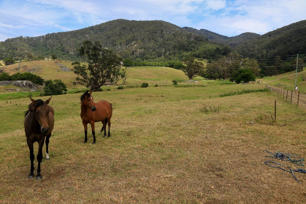 Central Tilba旅游攻略图片