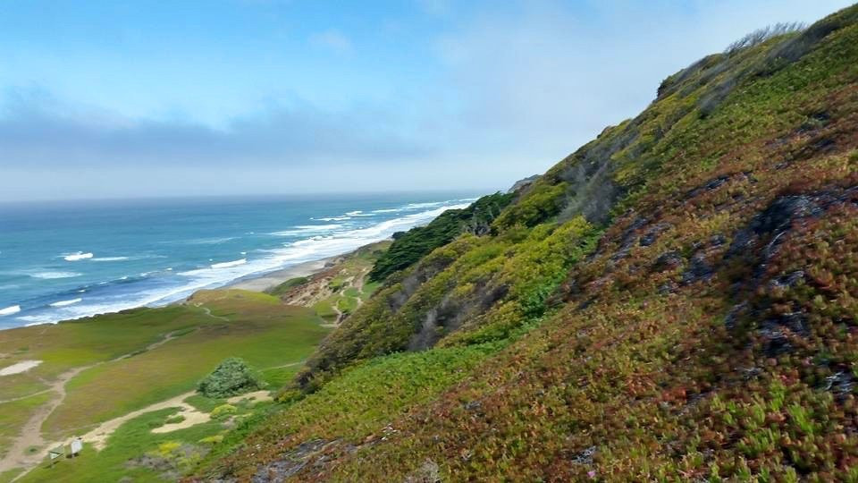 Mar Vista Stables-戴利城必去景点