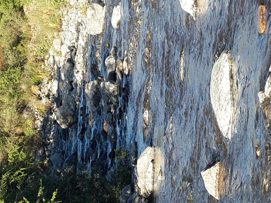 Alto Potrerillos主图