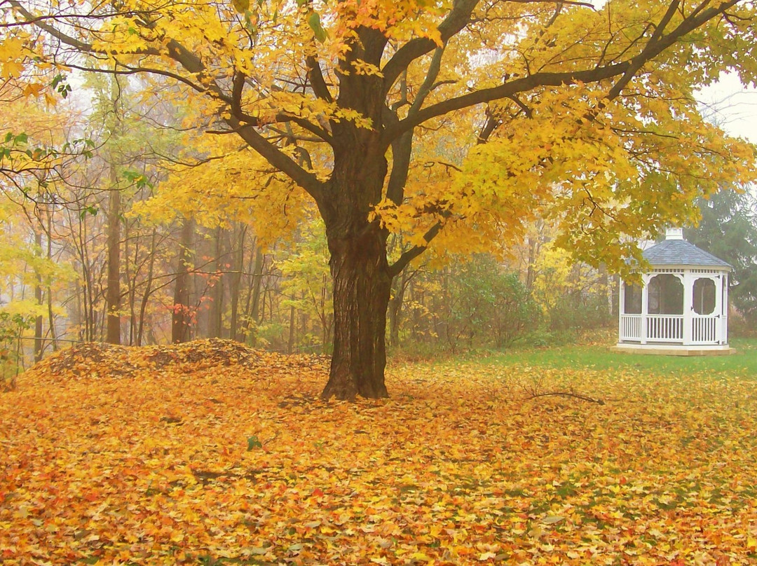 Black River Inn B&B主图