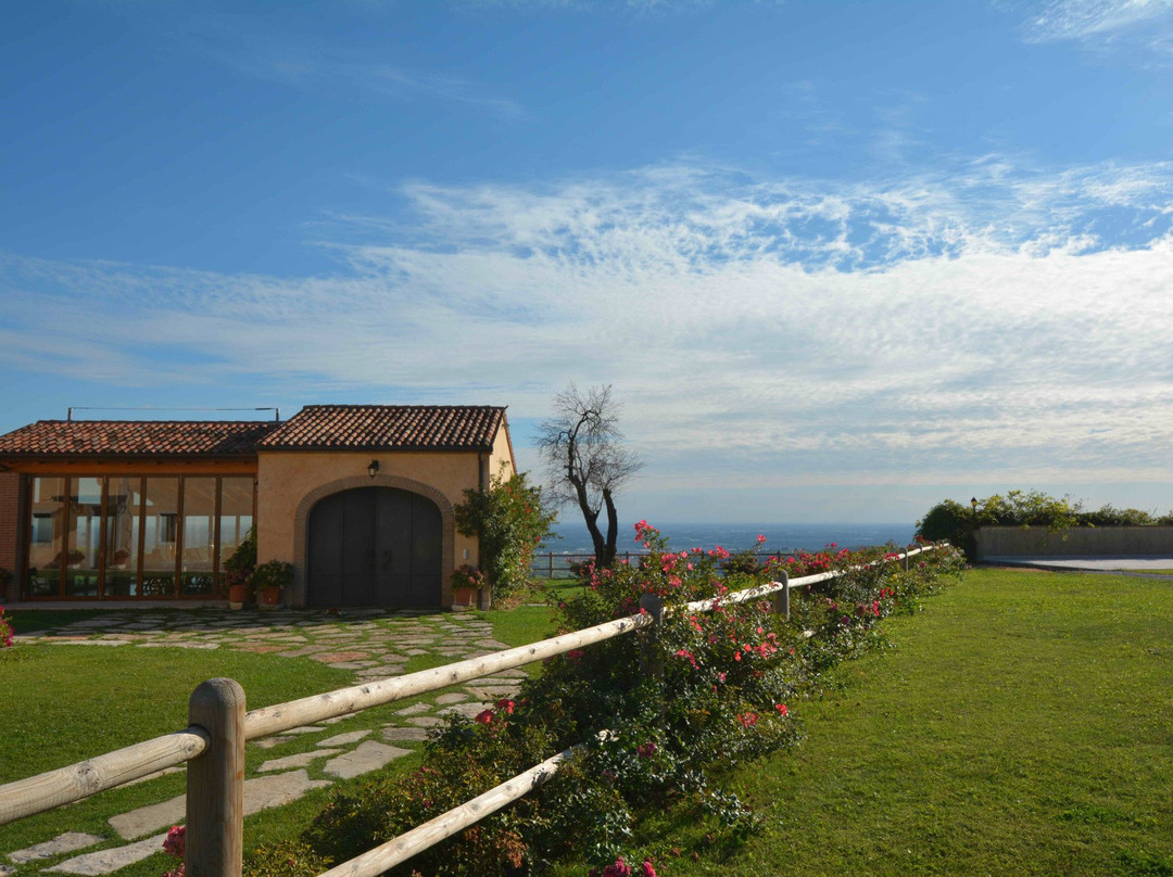 Tenuta Sant' Antonio景点图片