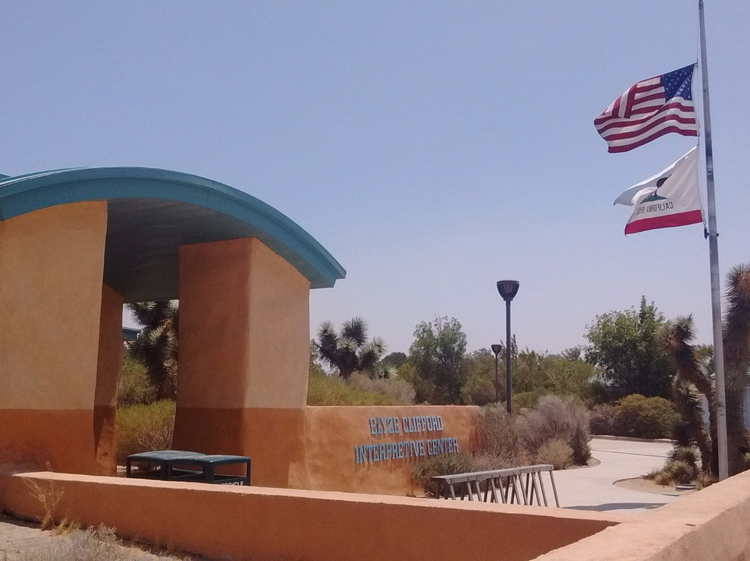 Prime Desert Woodland Preserve-兰开斯特必去景点