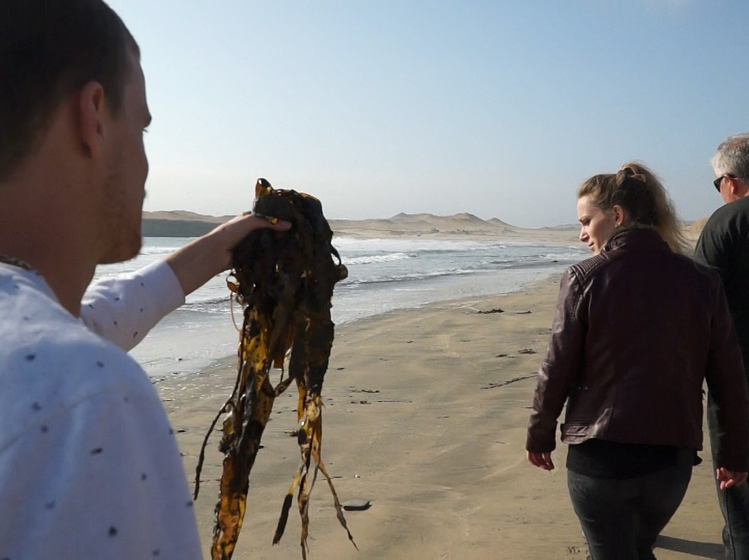 Playa Mendieta-帕拉卡斯必去景点