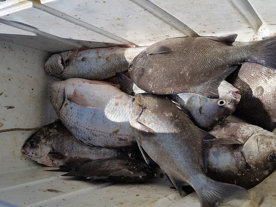 Aquanaut Tours-斯瓦科普蒙德必去景点