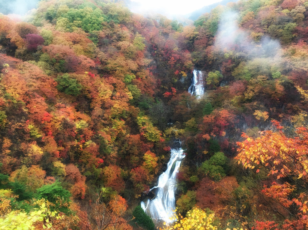 Kirifuri Waterfall-日光市必去景点