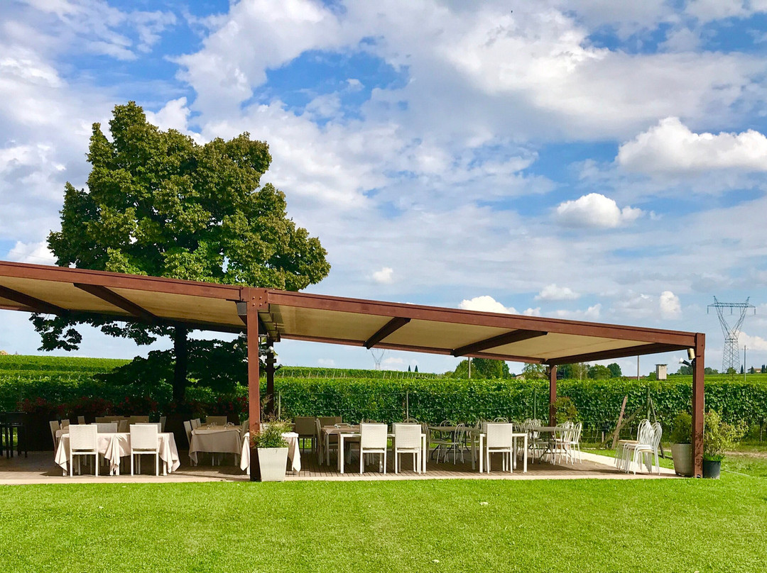 Pozzolengo餐馆和美食-Agriturismo Feliciana