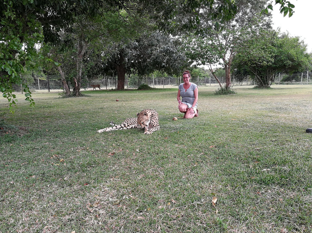 Zululand Cat Conservation Project景点图片