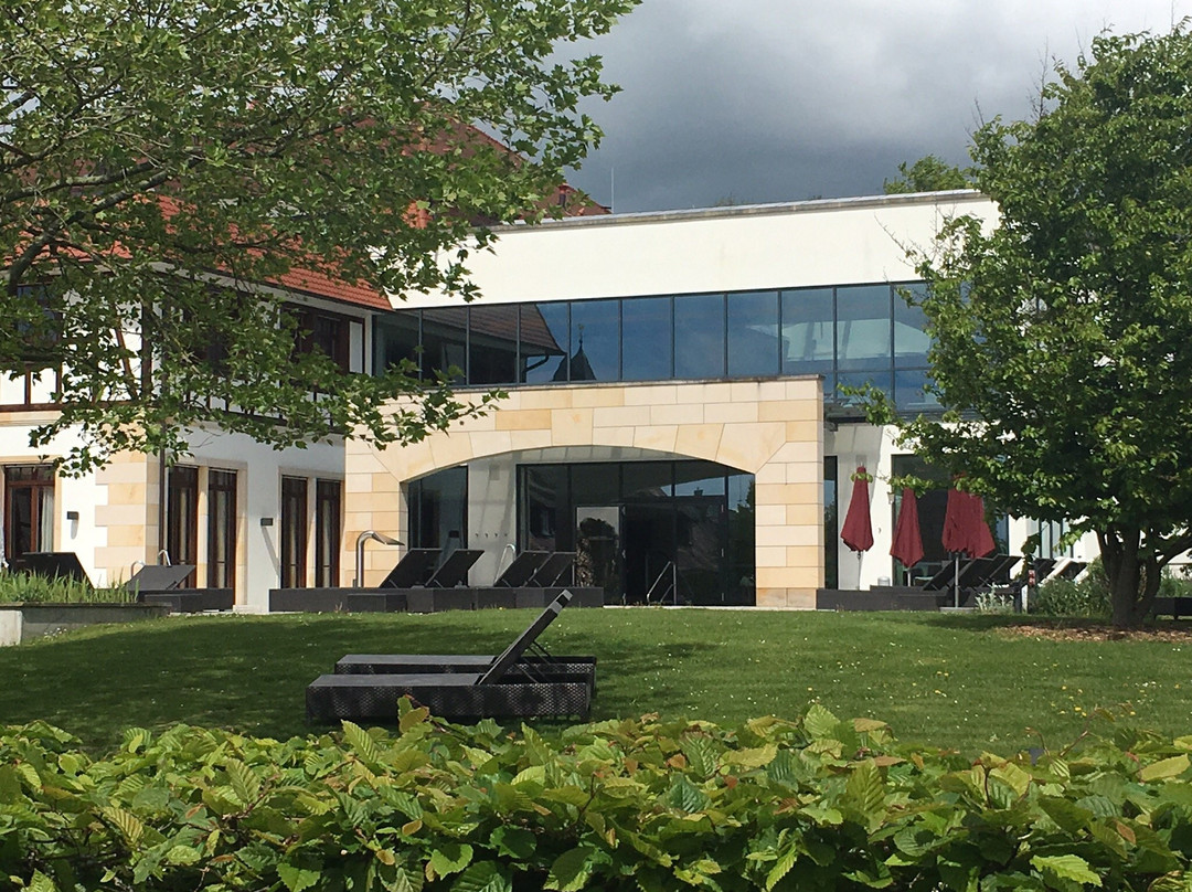 Wald & Schlosshotel Friedrichsruhe Day Spa景点图片