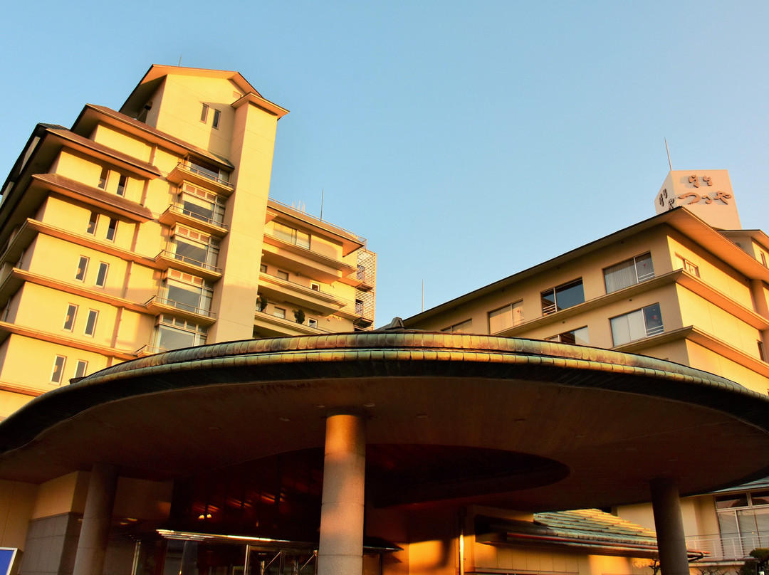 皆生つるや主图